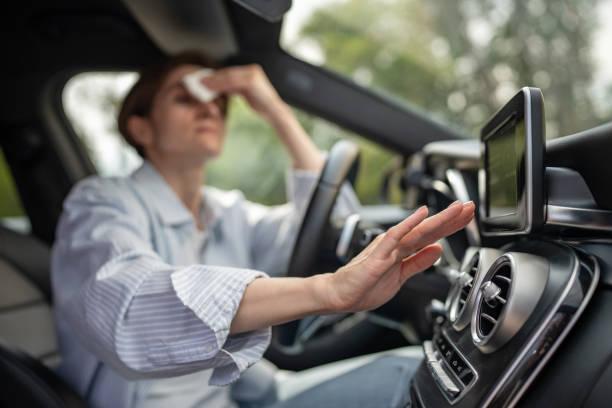 Best Thermostats and Smart Controls in Wrightwood, CA